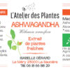 Complément alimentaire Ashwagandha - Extrait de plantes fraîches