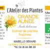Complément alimentaire Grande Aunée - Extrait de plantes fraîches
