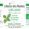 Complément alimentaire Mélisse - Extrait de plantes fraîches