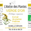 Complément alimentaire Verge d'or - Extrait de plantes fraîches