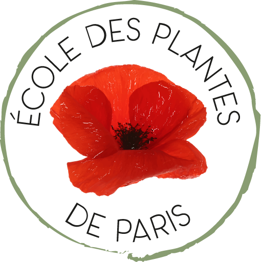 Ecole des Plantes de Paris, formation aux savoirs traditionnels et métiers de l'herboristerie