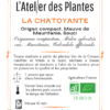 Tisane "La chatoyante" à partir de plantes bio